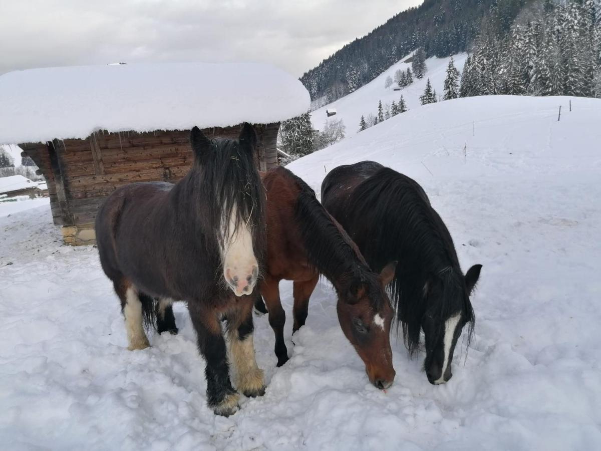 Bed and Breakfast Au Pre Des Chevaux Chateau-d'Oex Exteriér fotografie