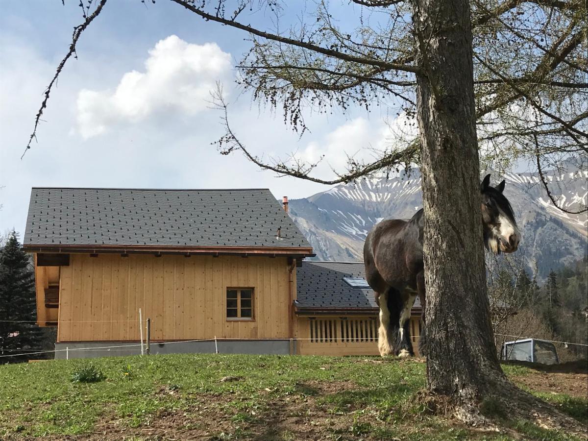 Bed and Breakfast Au Pre Des Chevaux Chateau-d'Oex Exteriér fotografie